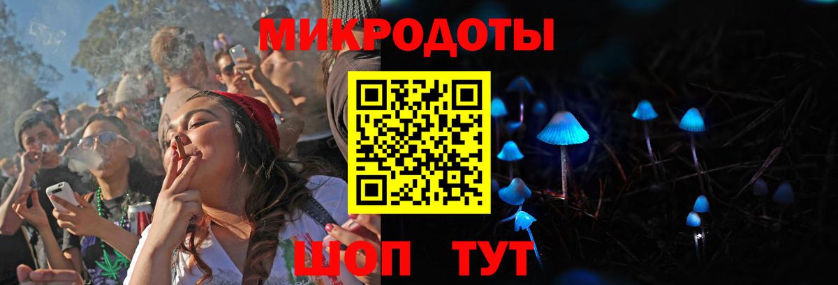 Будённовск  Галлюциногенные грибы Psilocybe  Вход с VPN 